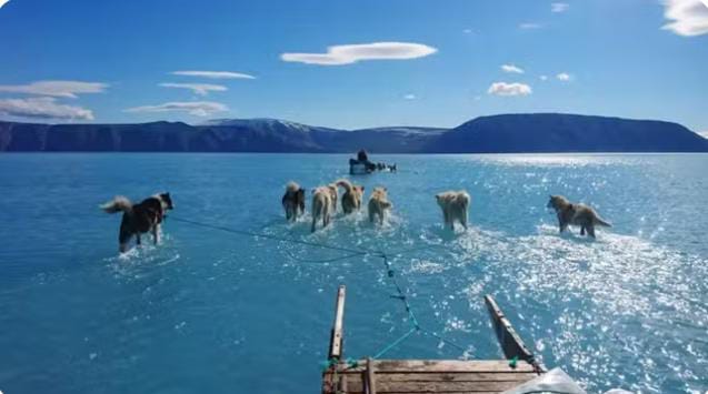 Foto foi tirada pelo cientista climático Steffen Olsen em junho de 2019 — Foto: Steffen Olsen/Blue Action (Gelo derreteu sob nossos pé) 