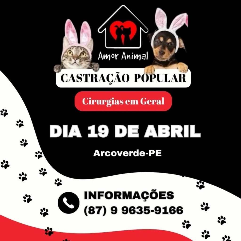 Um ato de cuidado e responsabilidade - Foto: Reprodução