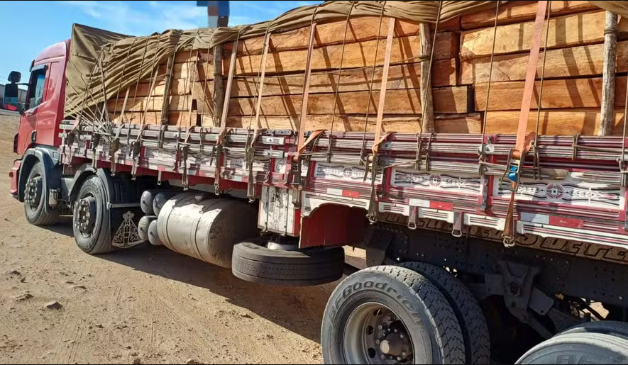 PRF flagra madeira irregular