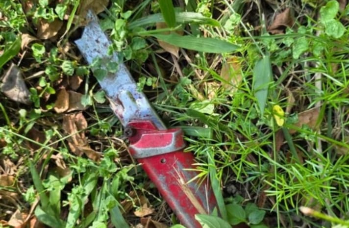 Mulher confessa assassinato e canibalismo