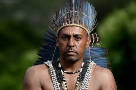 Fraudes em licitações no município de Pesqueira