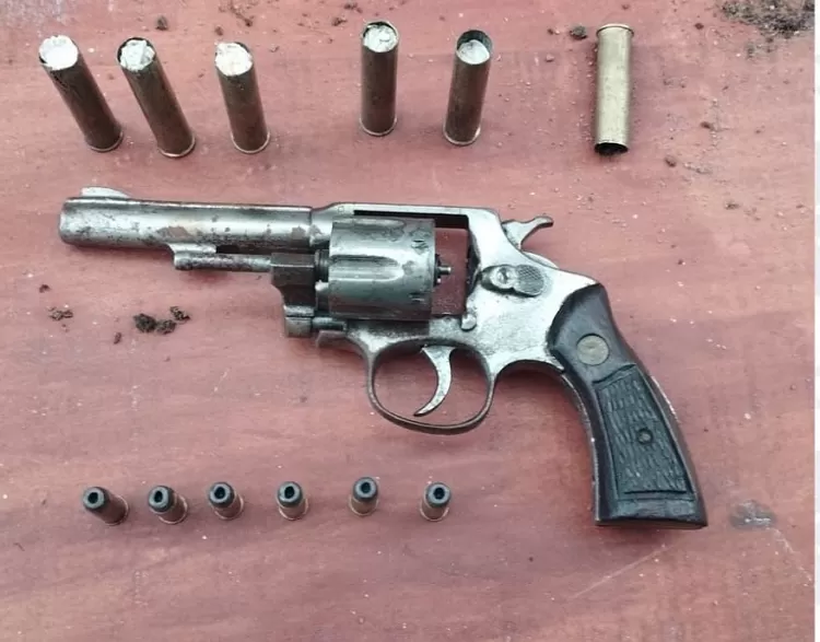 Descoberta plantação de maconha em Pesqueira