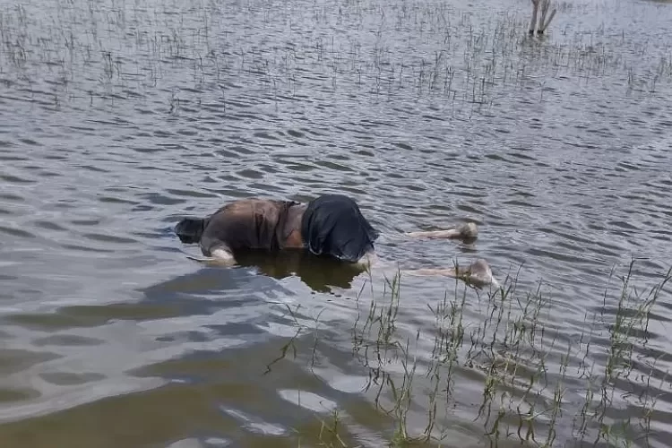 Corpo encontrado em açude em Manari
