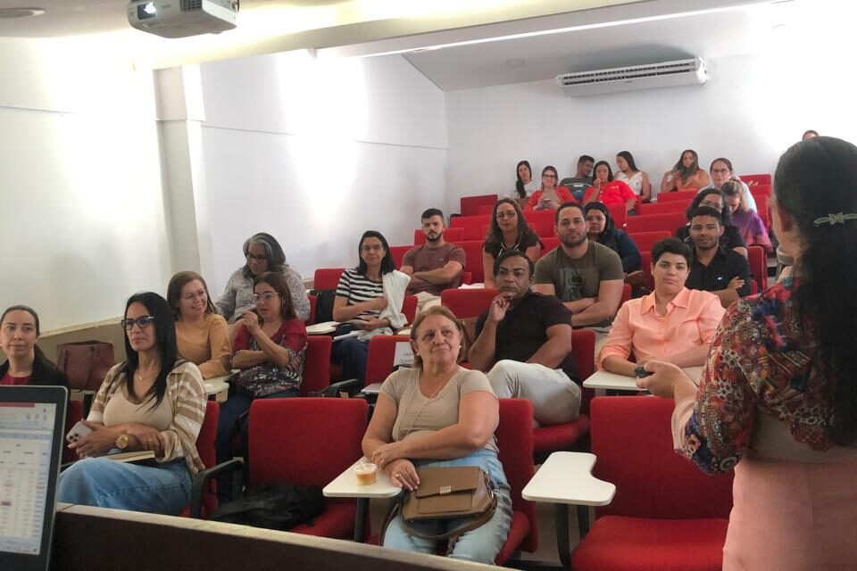 capacitação VI Geres