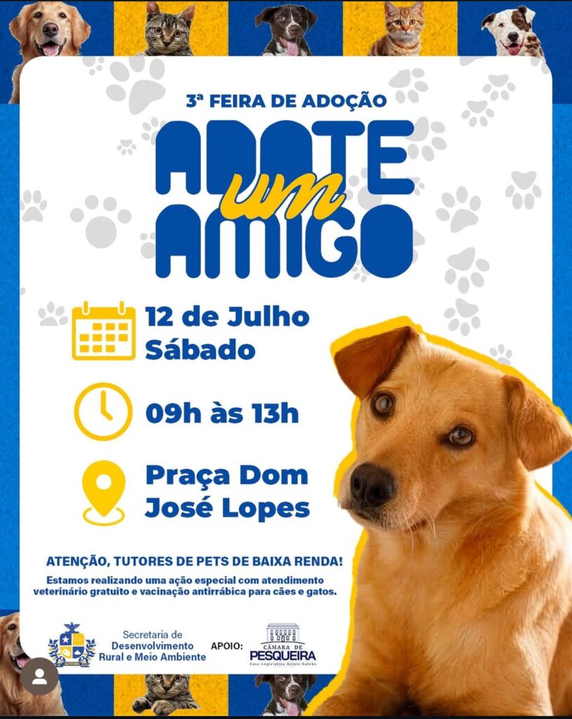 Adote um amigo em Pesqueira 