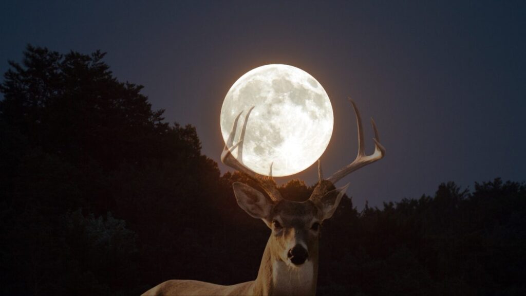 Lua do Veado nesta quinta-feira 