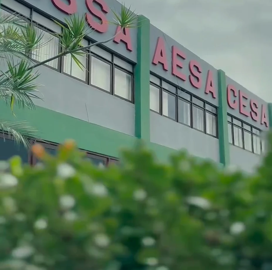 Aesa reunião coordenadores de cursos 