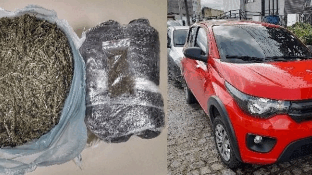 Bepi combate ao tráfico