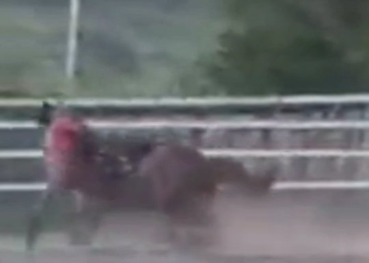 Trágico acidente em Cupira 