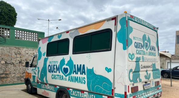 Mutirão gratuito de castração em Sertânia