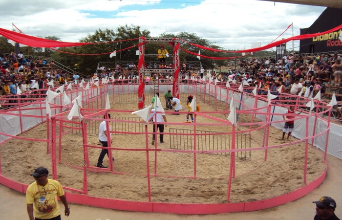 Corrida da Galinha em São Bento do Una