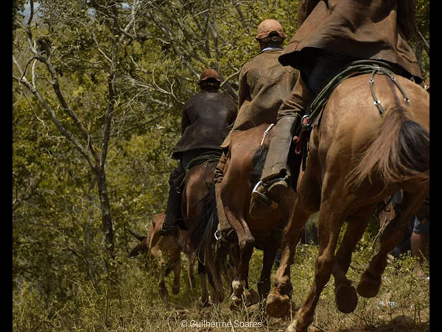 Festa do vaqueiro em Arcoverde