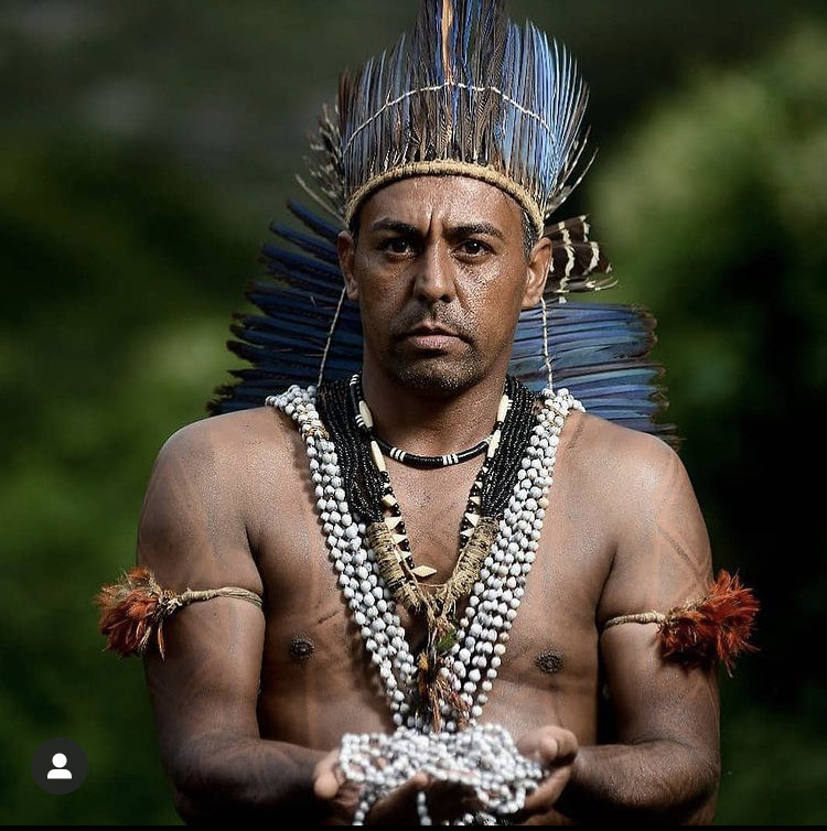 Erradicação de pés de maconha em Pesqueira