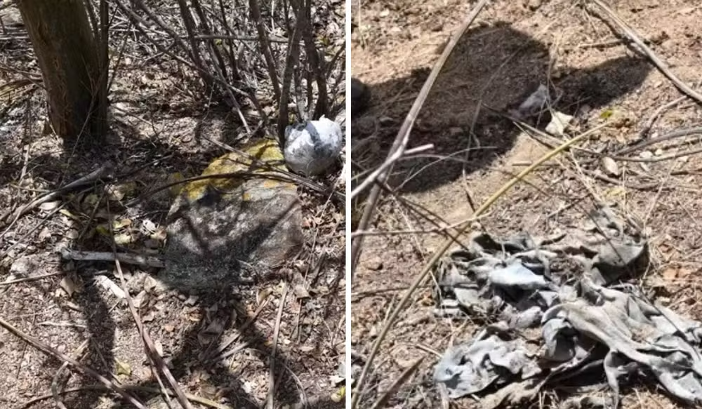 Agricultor encontrou crânio em Paranatama