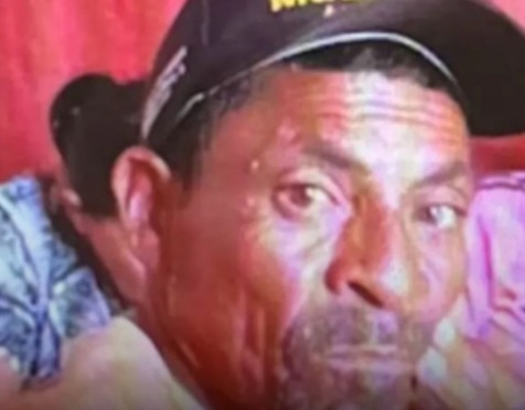 Idoso morreu por abelhas em Arcoverde 