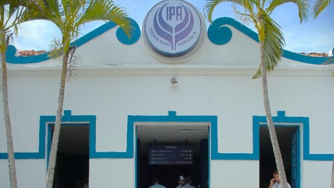 Dia do campo IPA Arcoverde