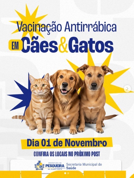 Vacinação animais domésticos em Pesqueira 