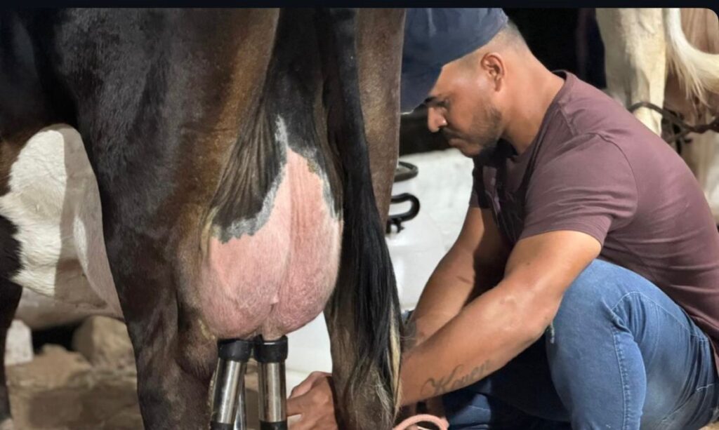 Expoleite 2025 é sucesso em Pesqueira