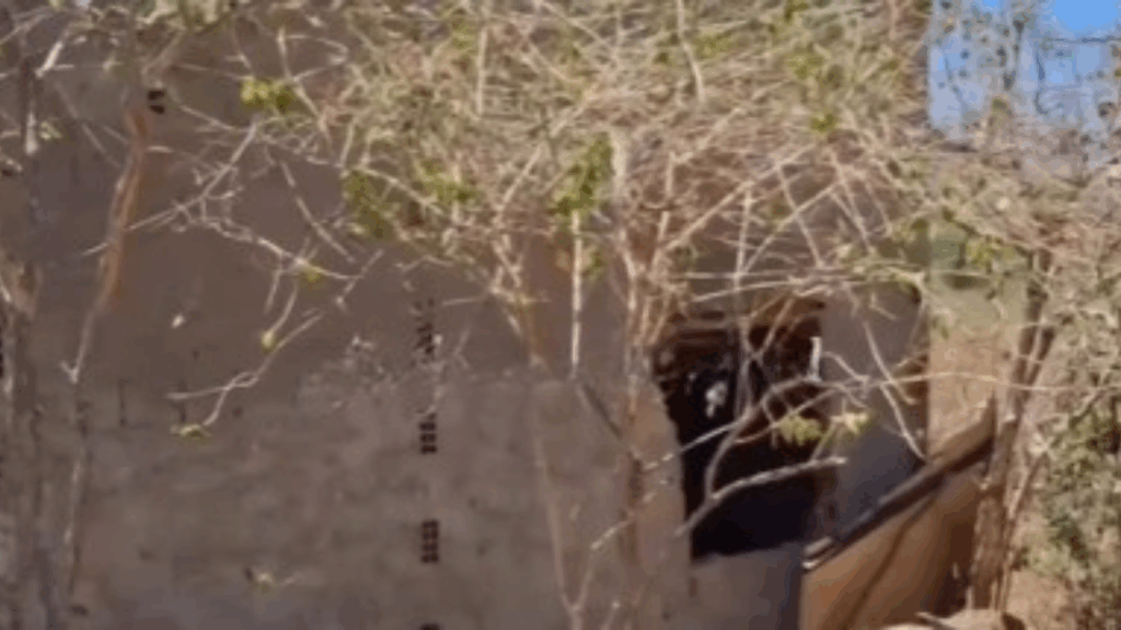 Corpo carbonizado encontrado em Arcoverde