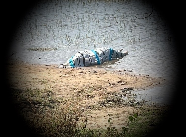 Mulher encontrada morta em barragem em Itaíba 