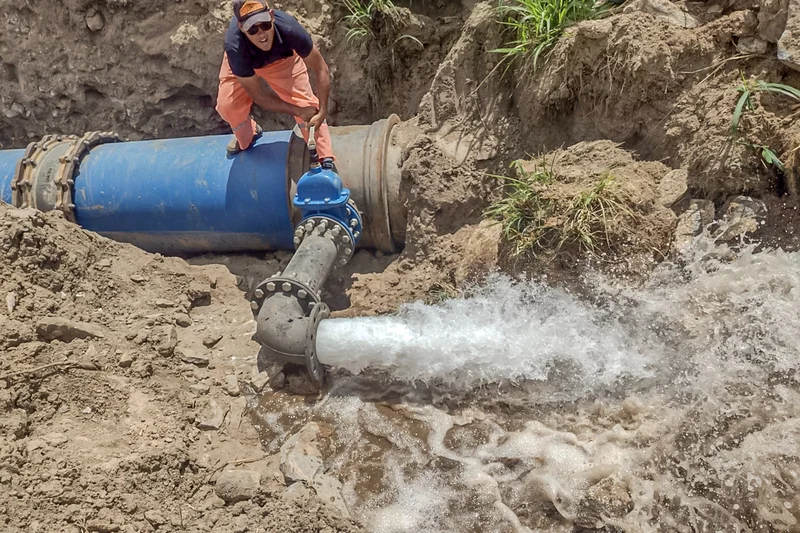 Democracia, Emprego e Soberania 
