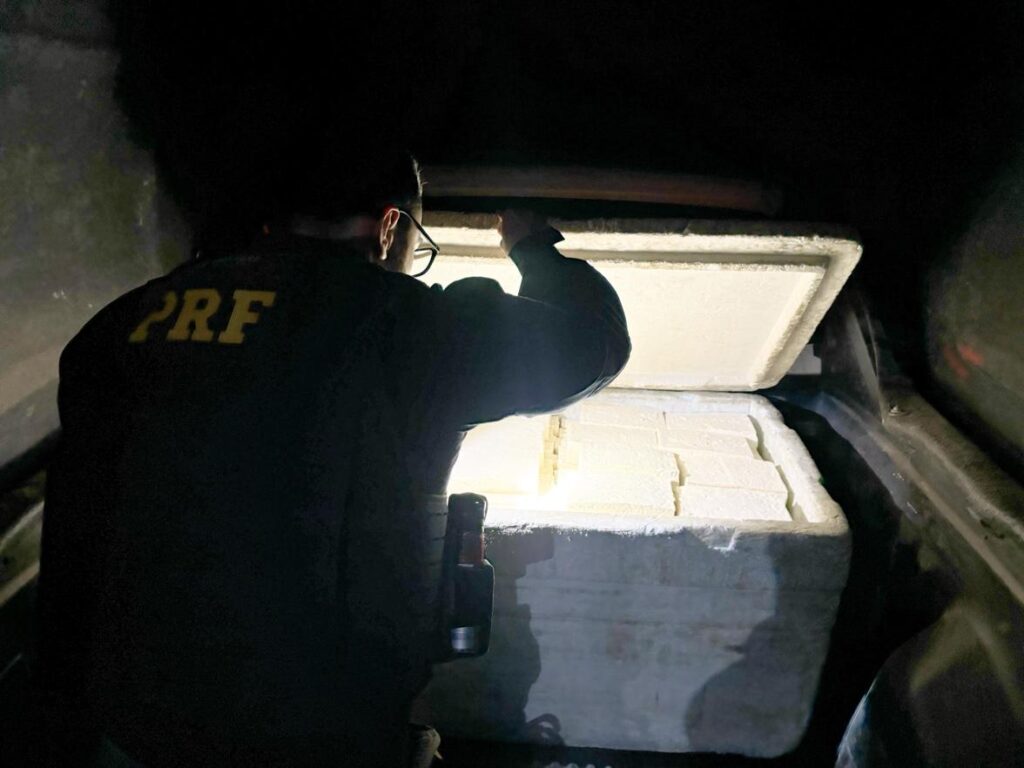 PRF apreendeu queijo em Sertânia
