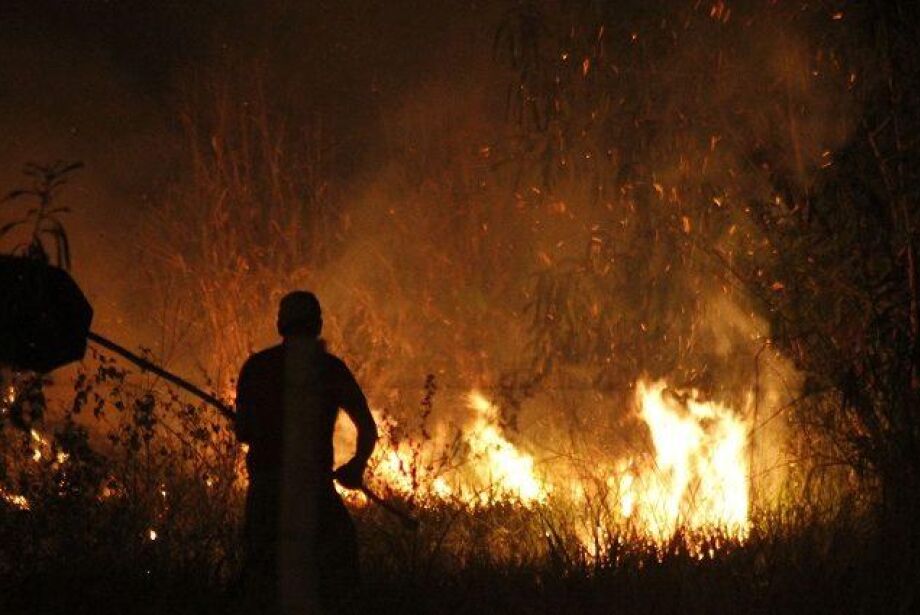 incêndio em terreno baldio
