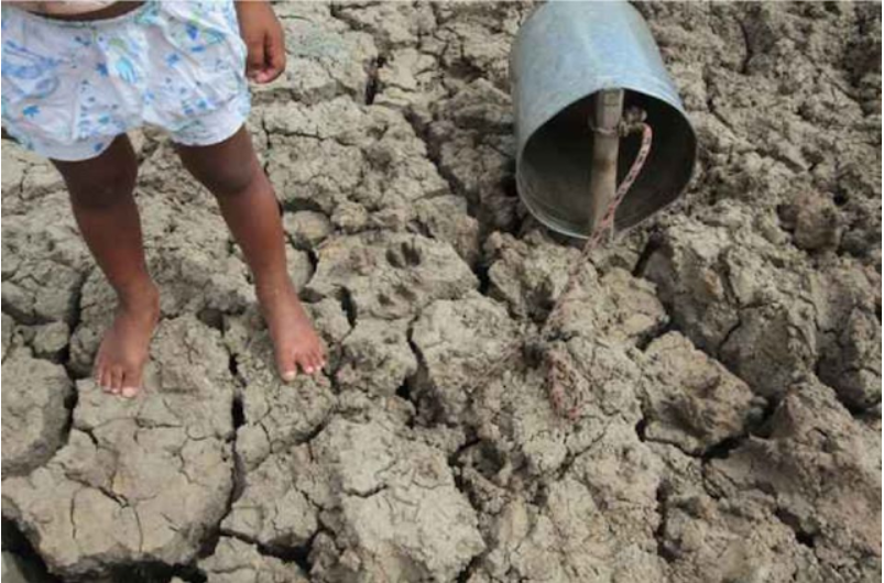 Seca extrema em Pernambuco 