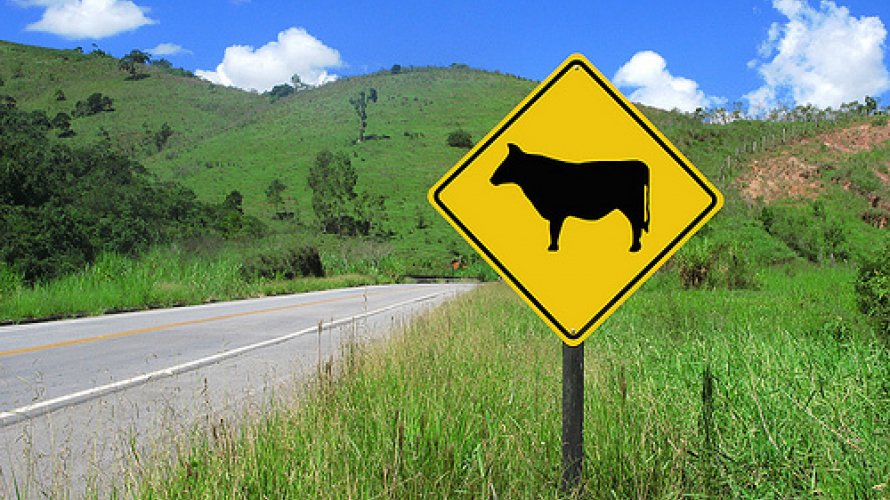 Idoso morre em acidente em Manari 