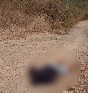 Homem encontrado morto em Arcoverde