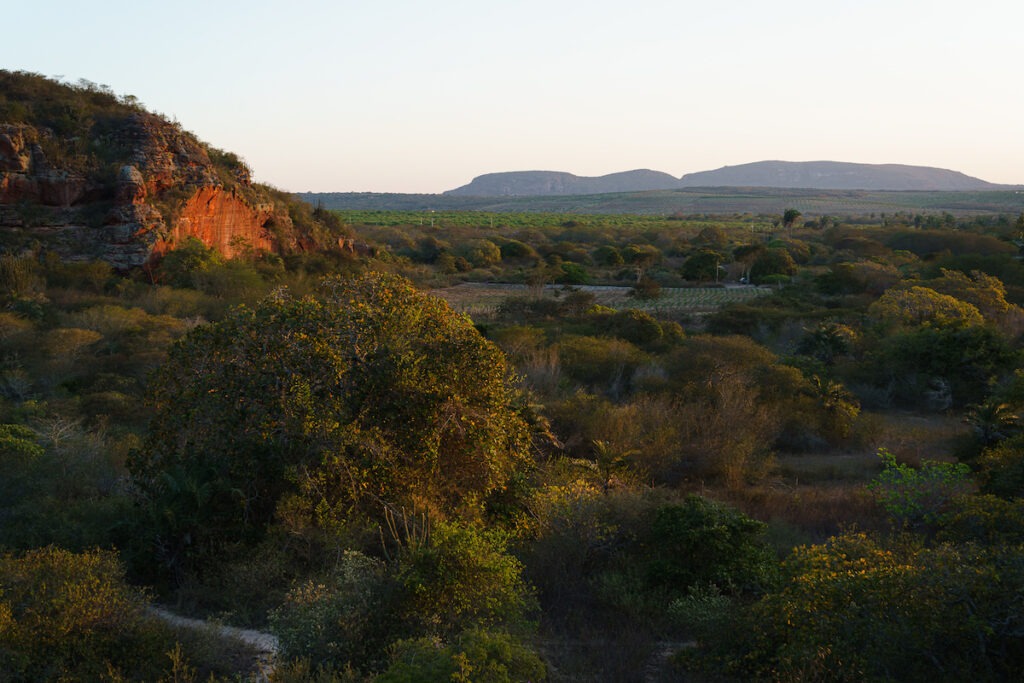 Defensoria venda de terreno em Buíque 