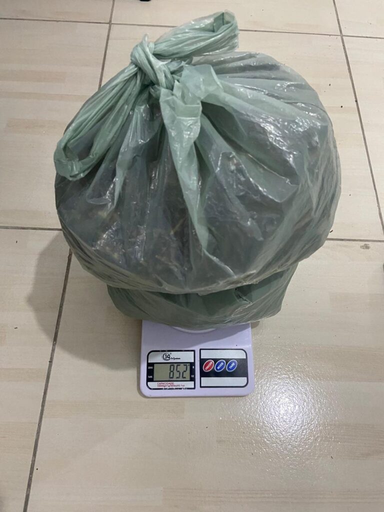 Polícia prende quatro em Venturosa