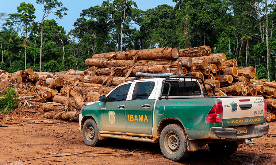 Ibama seleção pública simplificada
