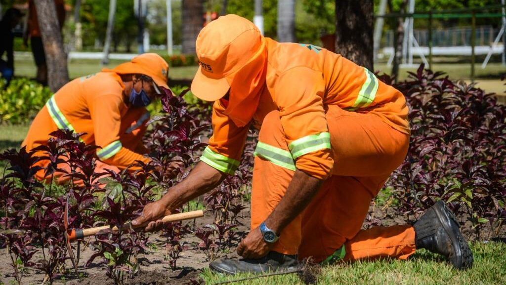 Câmara aprova projeto que cria piso salarial nacional para garis