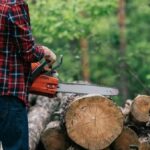 Portal Panorama - Arcoverde e região