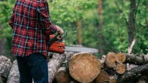 Portal Panorama - Arcoverde e região