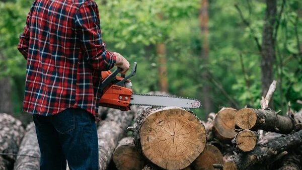 Portal Panorama - Arcoverde e região