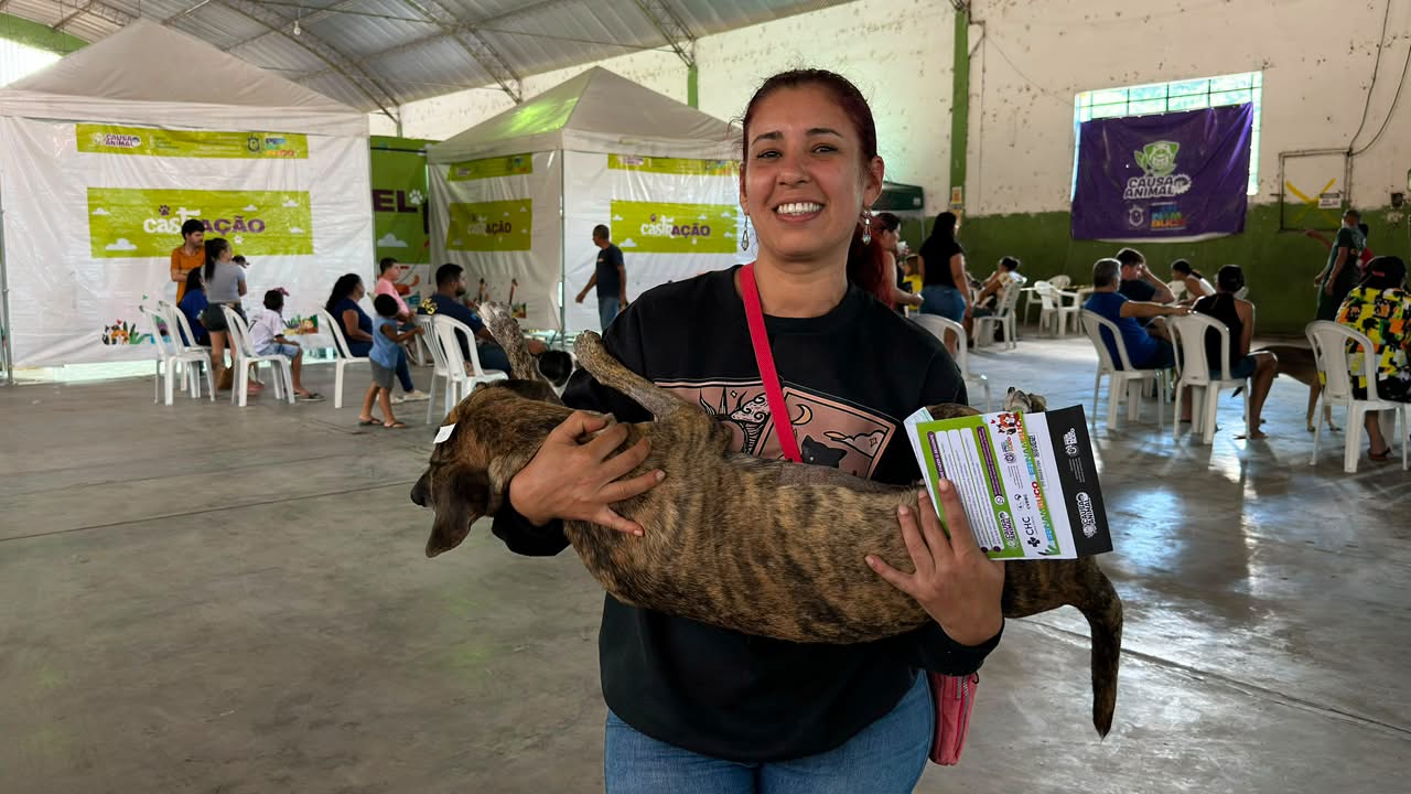 Pesqueira inicia mutirão de castração gratuita para cães e gatos