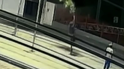 VÍDEO: Câmera de segurança registra vandalismo contra árvores no Pátio Ferroviário de Arcoverde