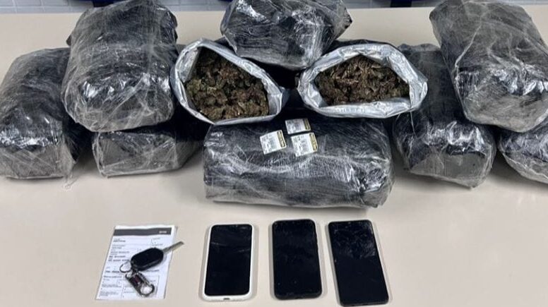 Policia apreende mais de 10 quilos de maconha e prende dois suspeitos em Sertânia