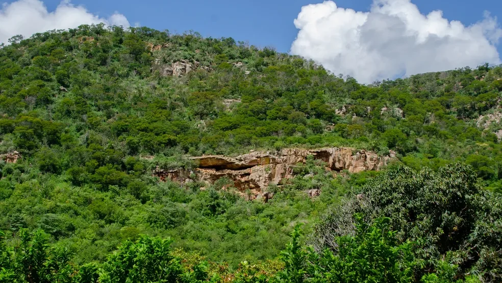 Pernambuco pode expandir em 15 mil hectares a área de proteção da Caatinga com novas Unidades de Conservação