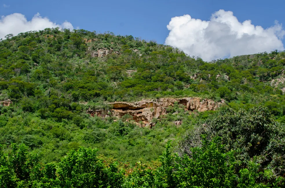 Unidades de Conservação na Caatinga em Pernambuco 