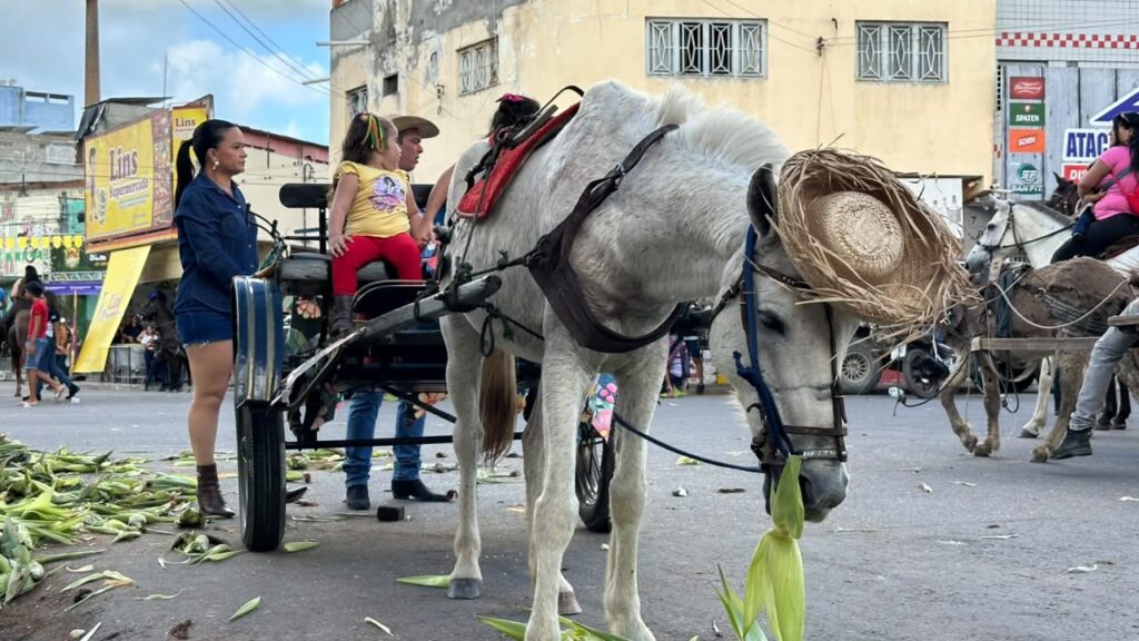 Tradicional casamento matuto de Pesqueira