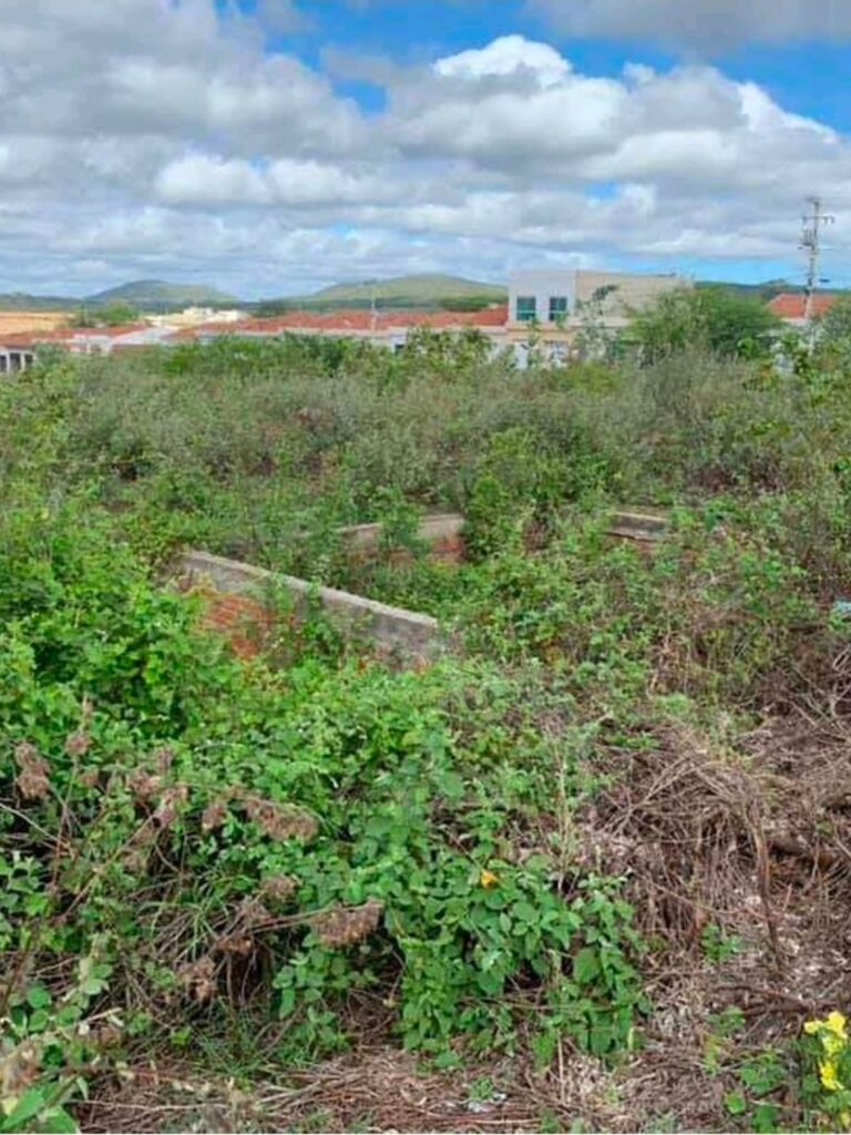 MPPE improbidade obra em Custódia