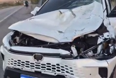 Acidente carro e cavalo em Sertânia