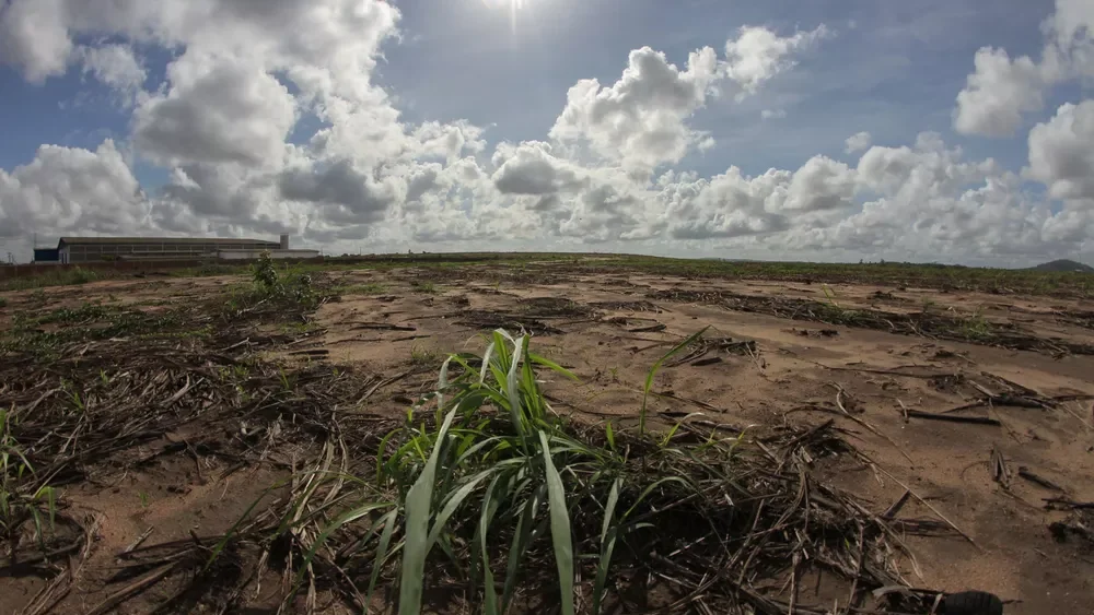 Arcoverde entra em situação de emergência após Pernambuco decretar estiagem em 75 municípios