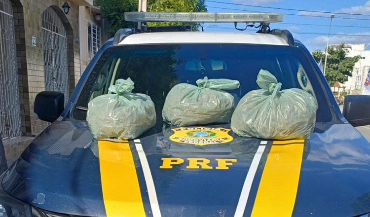 PRF apreende supermaconha em Sertânia