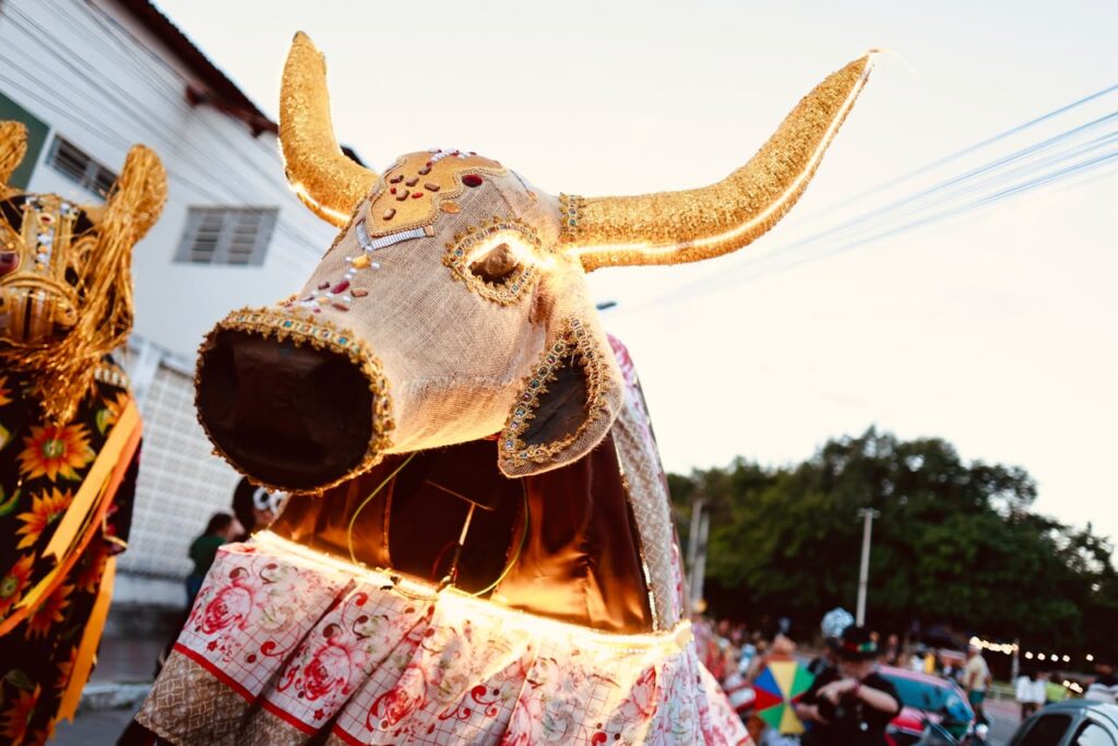 Manifestações da cultura popular em Arcoverde