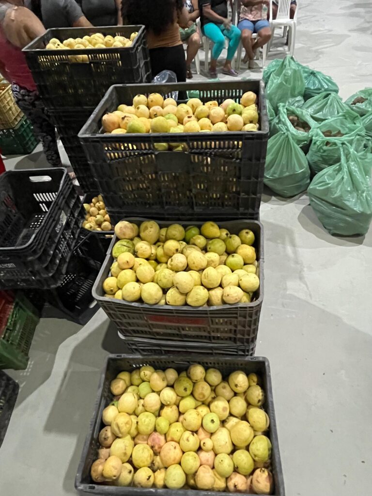 Cedec e Conab kits de alimentos