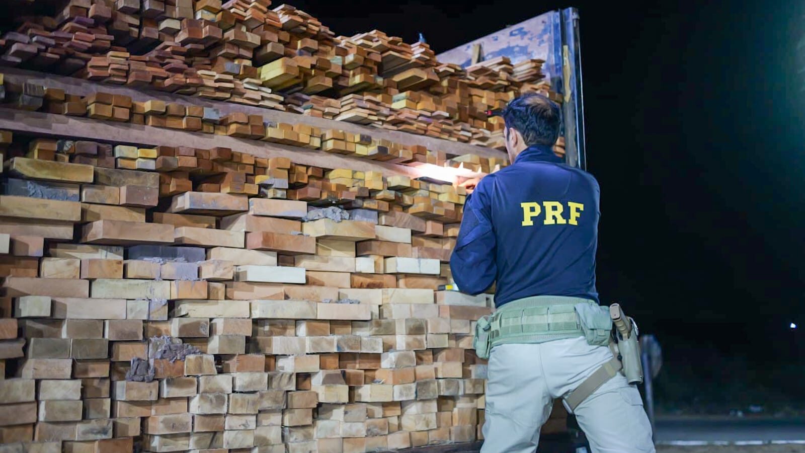 PRF realiza apreensões de madeira, papagaios e 35 toneladas de camarão em Pernambuco